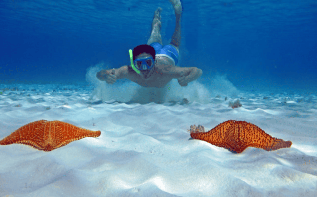 Tauchen mit Rochen im kalren Wasser