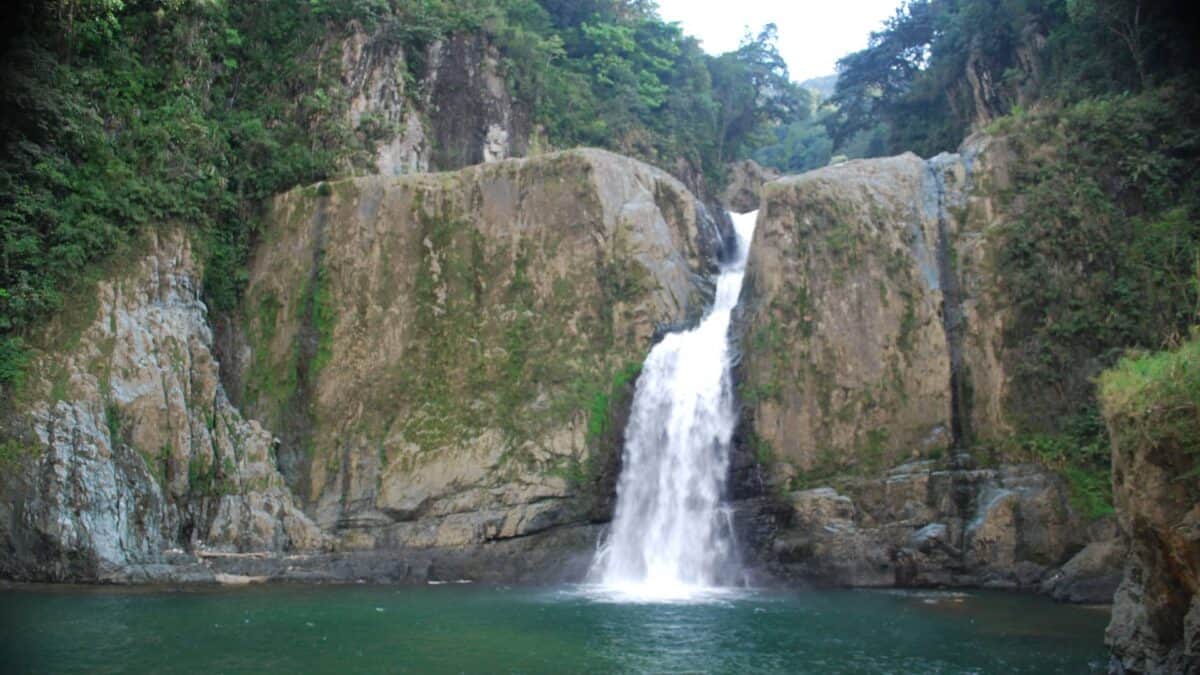 Anders gesprochen, gehen Sie mit Aligatours auf eine Tour.