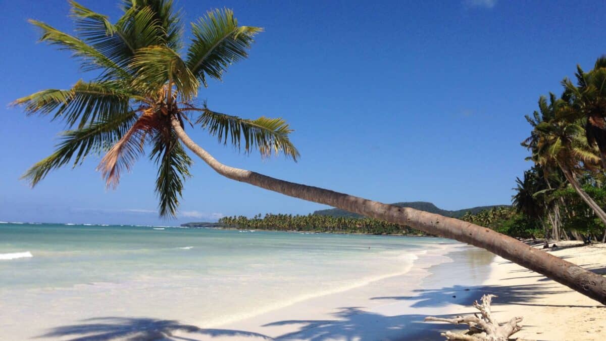 Schöner Strand in der dominikanischen Republik. Besser formuliert, ein Traumstrand
