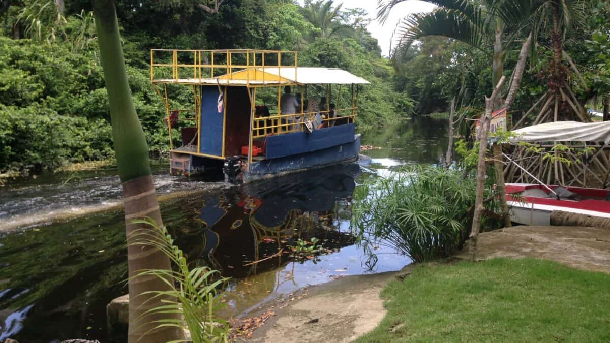 Beziehungsweise mal eine Dschungeltour auf dem Fluss unternehmen.