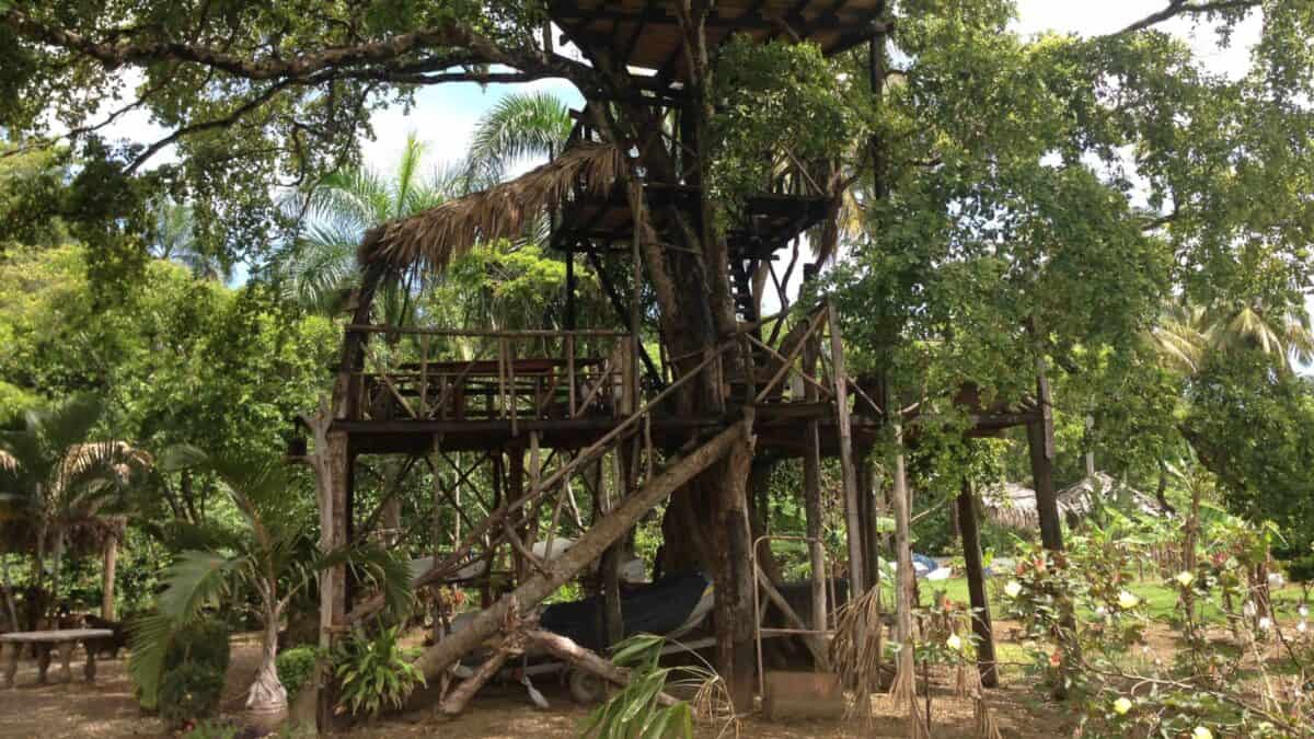 Anschließend ist ein Baumhaus zu sehen