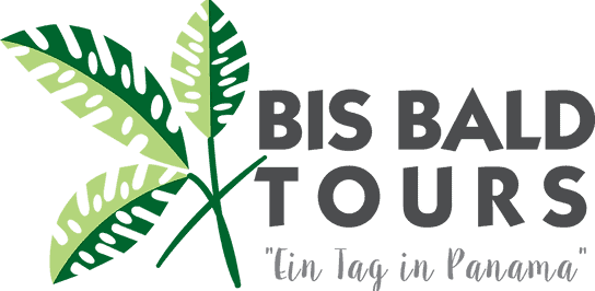 Logo Bis Bald Tours