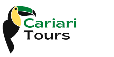 Logo Cariari Tours