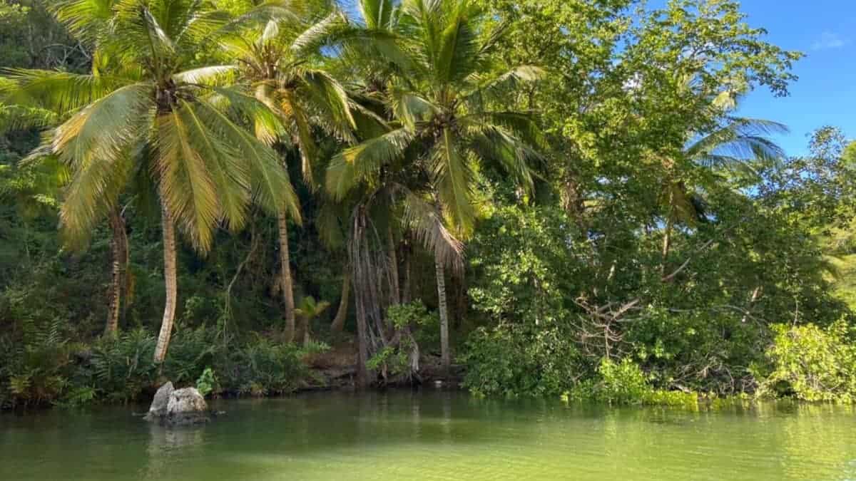 Tolle Ausflüge mit ANDA Karibik