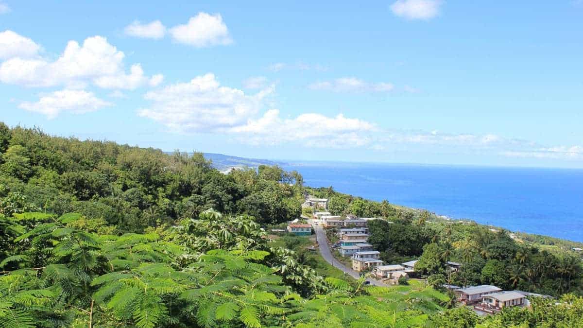 Ansicht geniessen mit Caribbeanfeeling