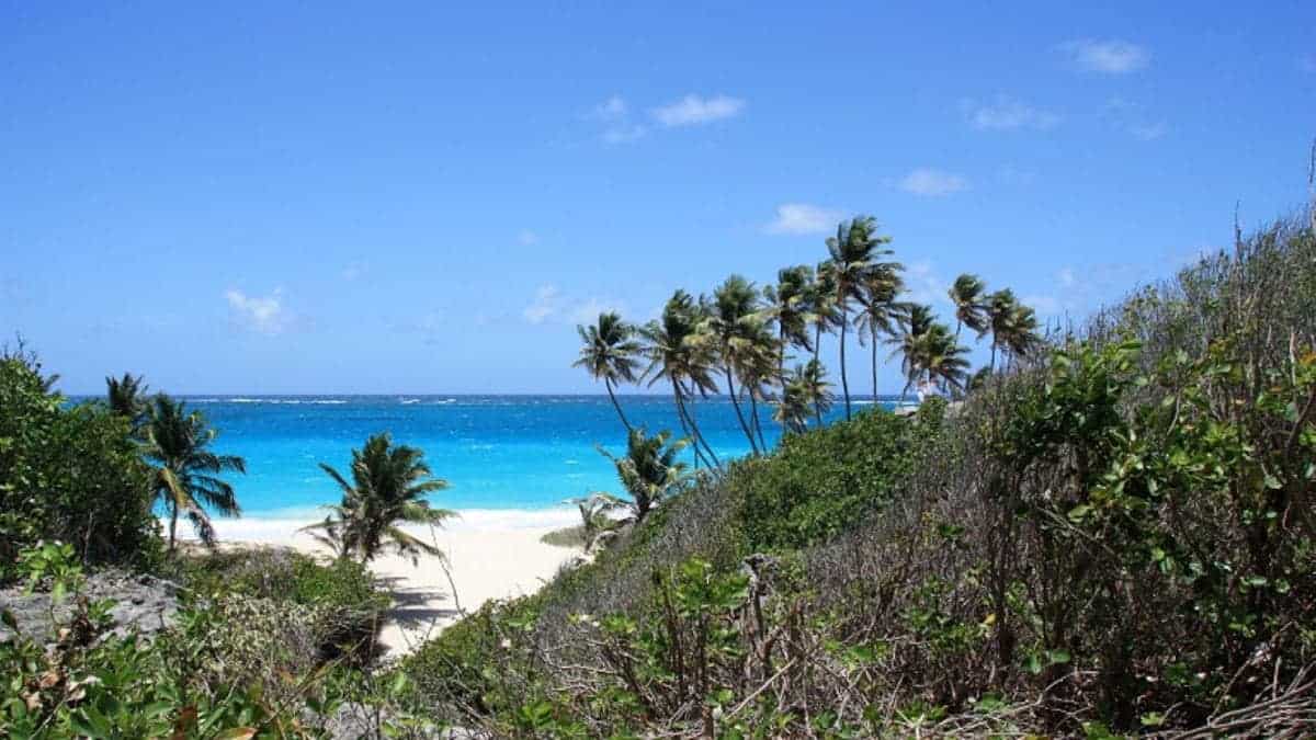 Genießen Sie Ihren Urlaub in Barbados