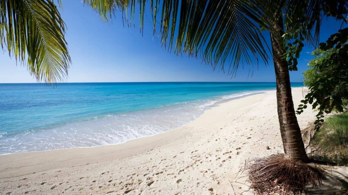 Traumstrand mit fantastischen Farben der Karibik zu sehen mit Antigua Experience