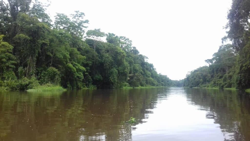 Entdecke die Tropen von Costa Rica mit Susi Tours