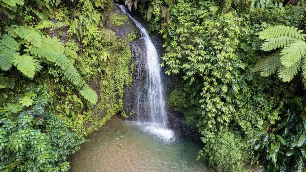 Sebastiano Tours bringt Euch zu tollen Wasserfällen.