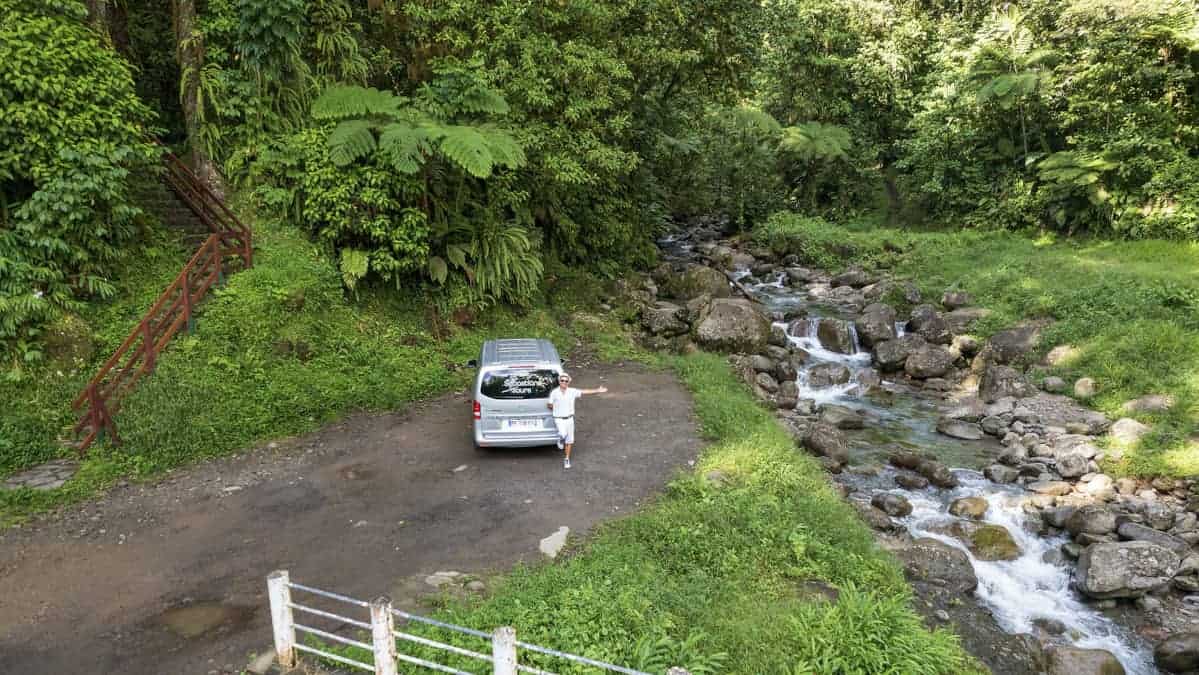 Natur Pur auf Martinique