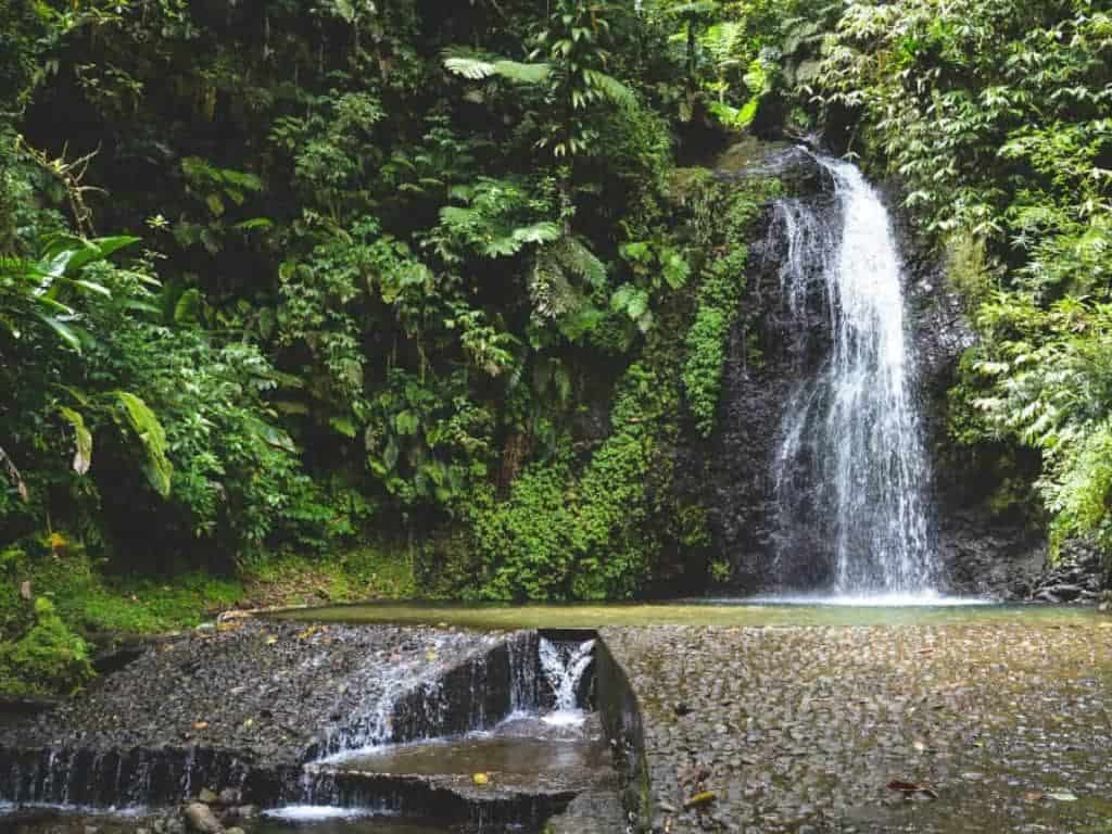 Wasserfälle besichtigen mit Exotic Tours
