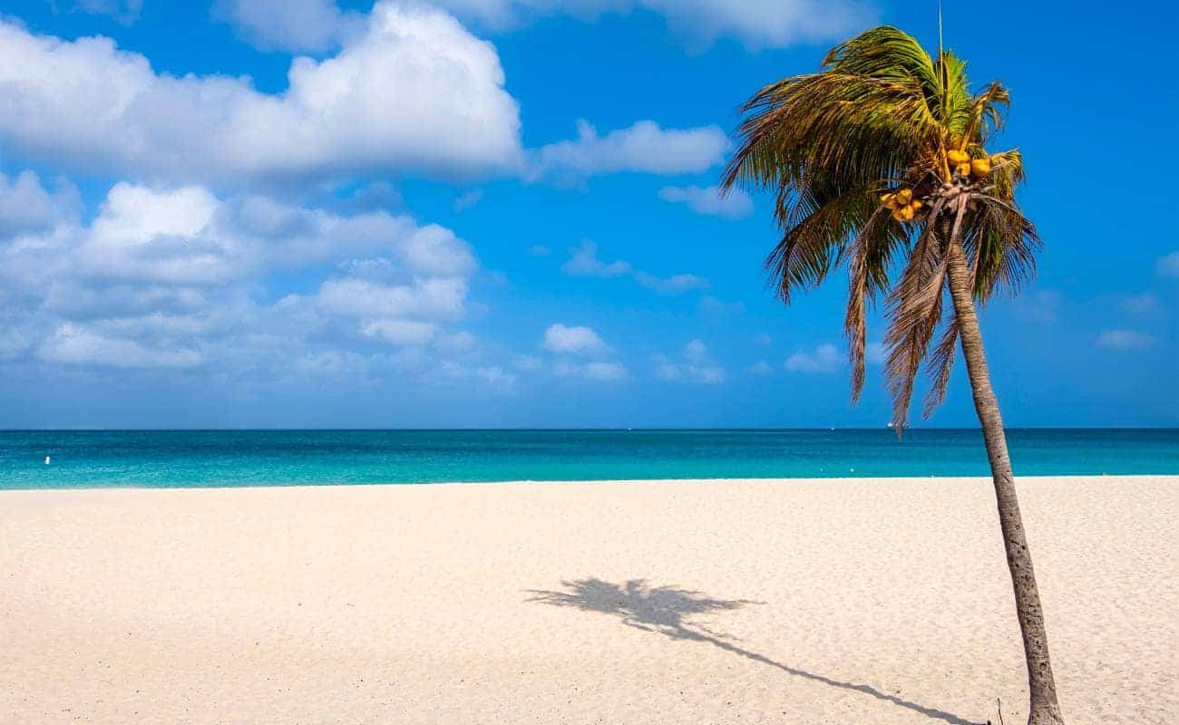 Arubas Eagle Beach, ein wahrer Traumstrand und Highlight auf Aruba