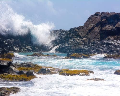 In Arubas Norden schlagen die Wellen gegen die Felsen, ein Highlight und echtes Top 3 auf Aruba. Jetzt in neues aus Aruba.