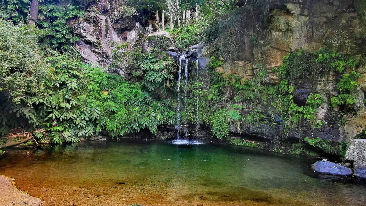 Abenteuer Azoren mit Robert unterwegs