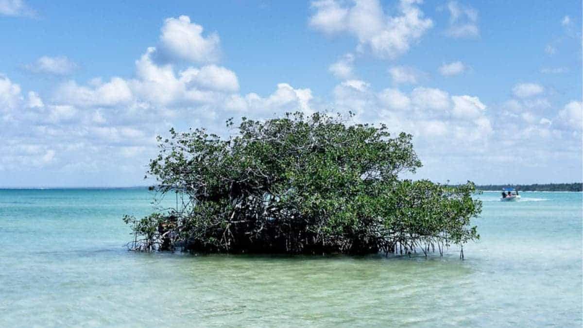 Entdecke fantastische Naturparadies mit Insidertrip.