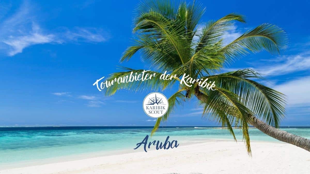 Strandaufnahme von Aruba Tours 2 Go