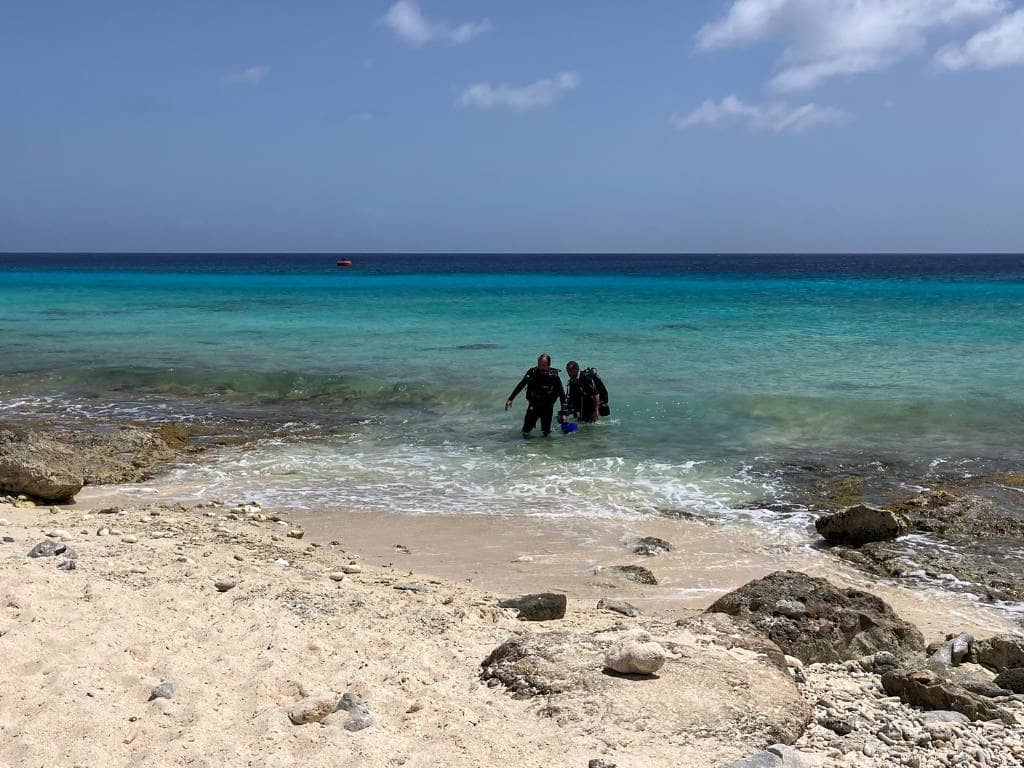 Organisierte Tauchgänge im Sonrisa Bonaire