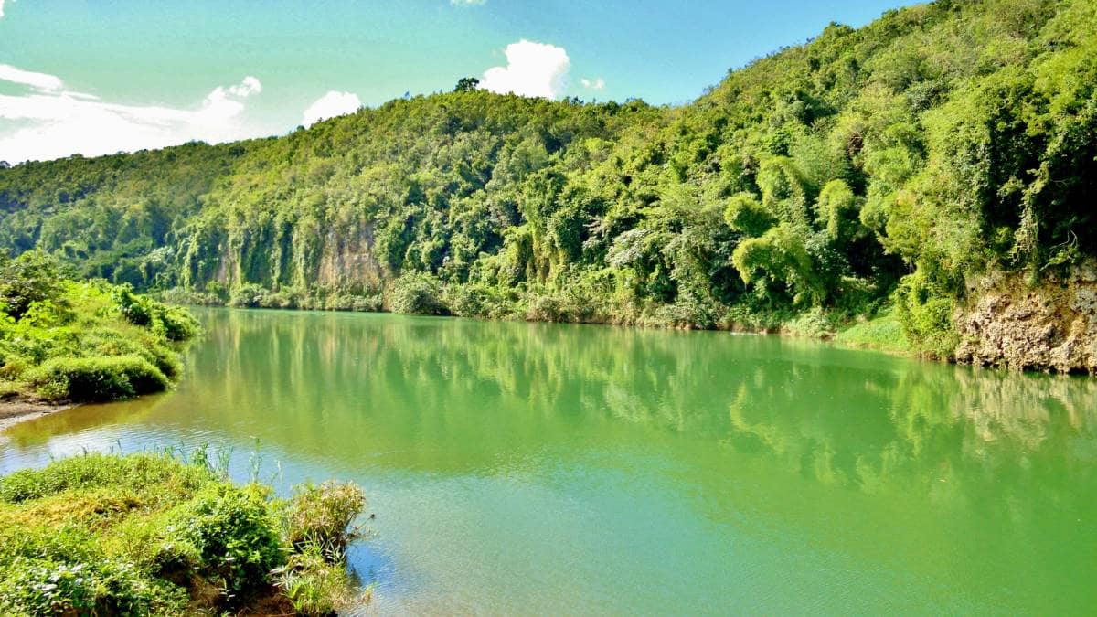 Die tropische Seite in der Dominikanischen Republik