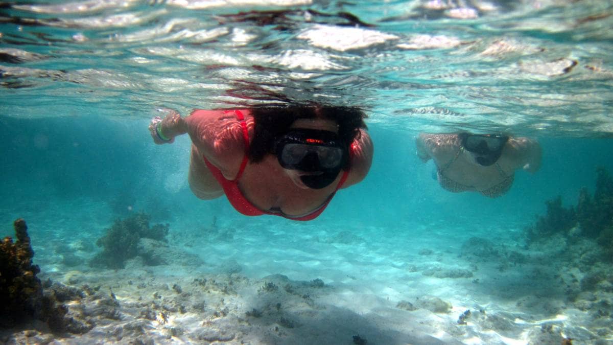 Schnorchelabenteuer sind mit Seavis auch möglich. Entdeckt die Unterwasserwelt der Dominikanischen Republik.