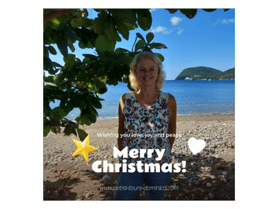 Frohe Weihnachten wünscht Euch Petra Tours Dominica