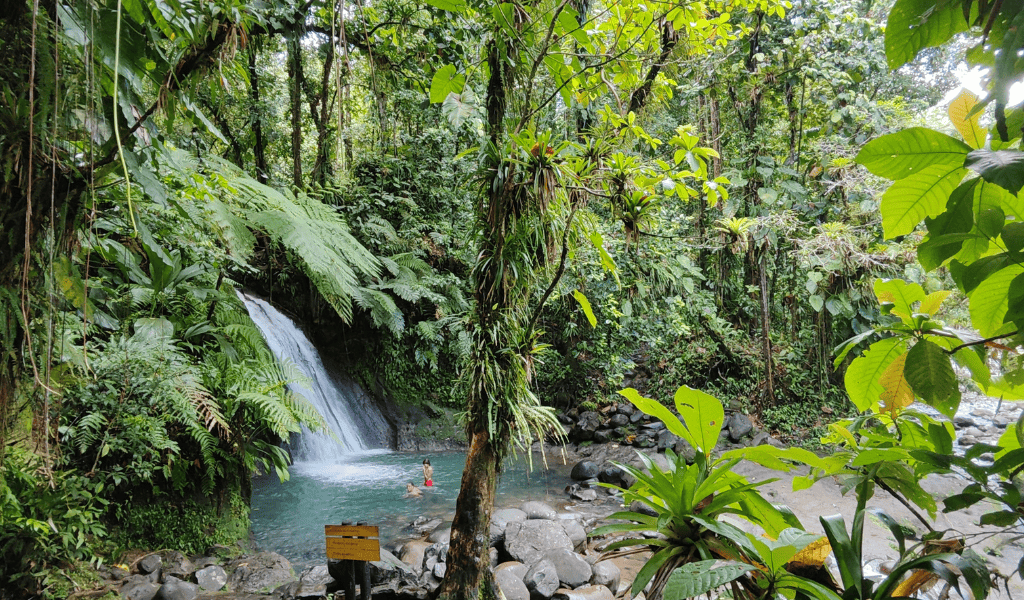 Guadeloupe - Cascade Ecrevisses