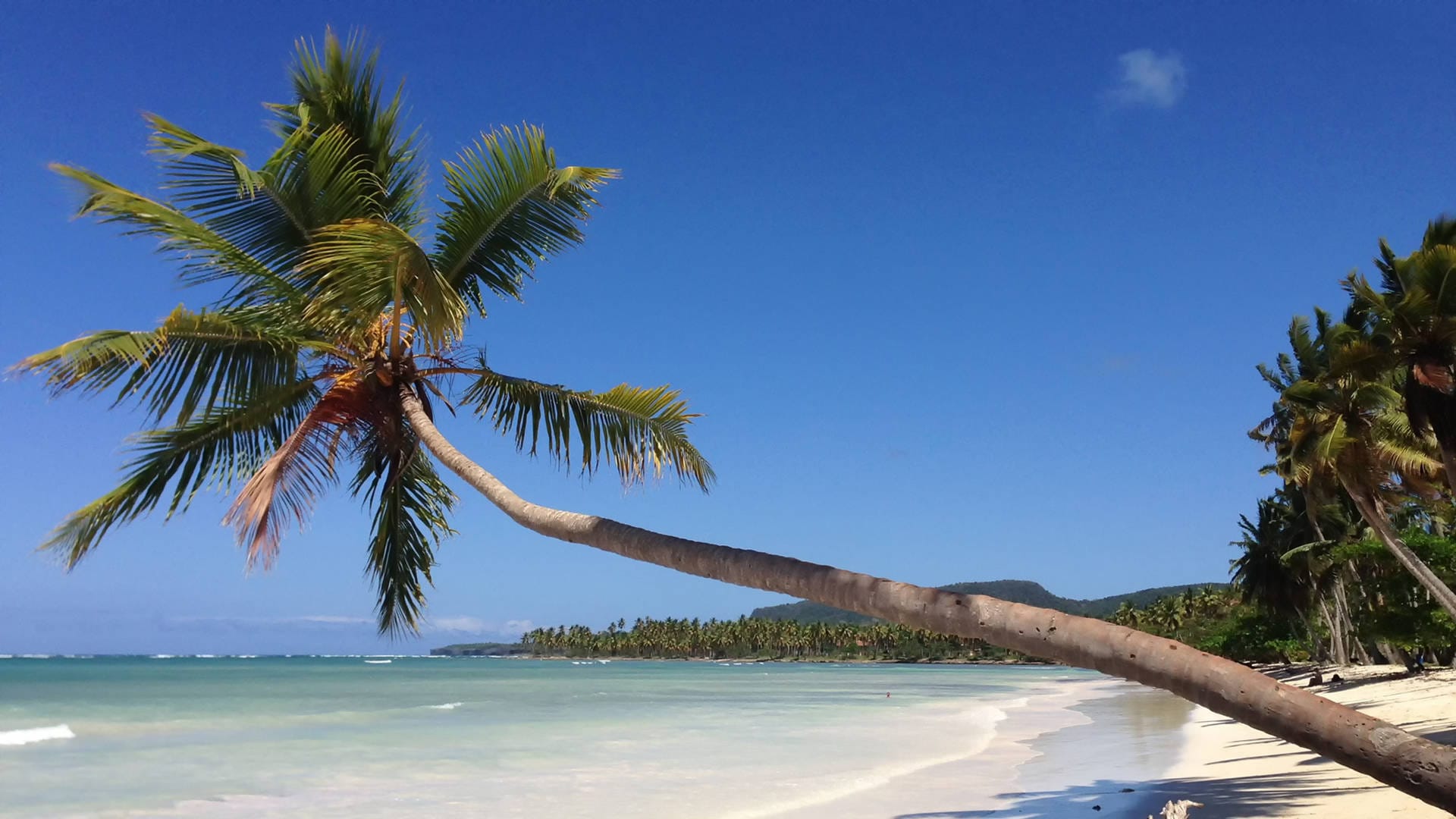 Dominikanische Republik